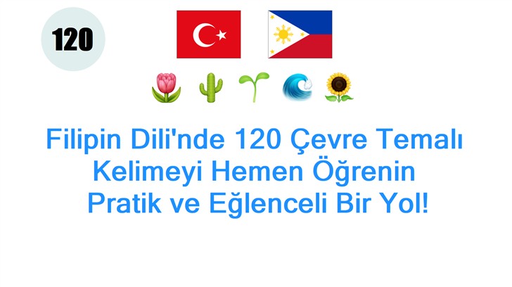 Filipin Dilinde 120 Çevre Temalı Kelimeyi Hemen Öğrenin: Pratik ve Eğlenceli Bir Yol!